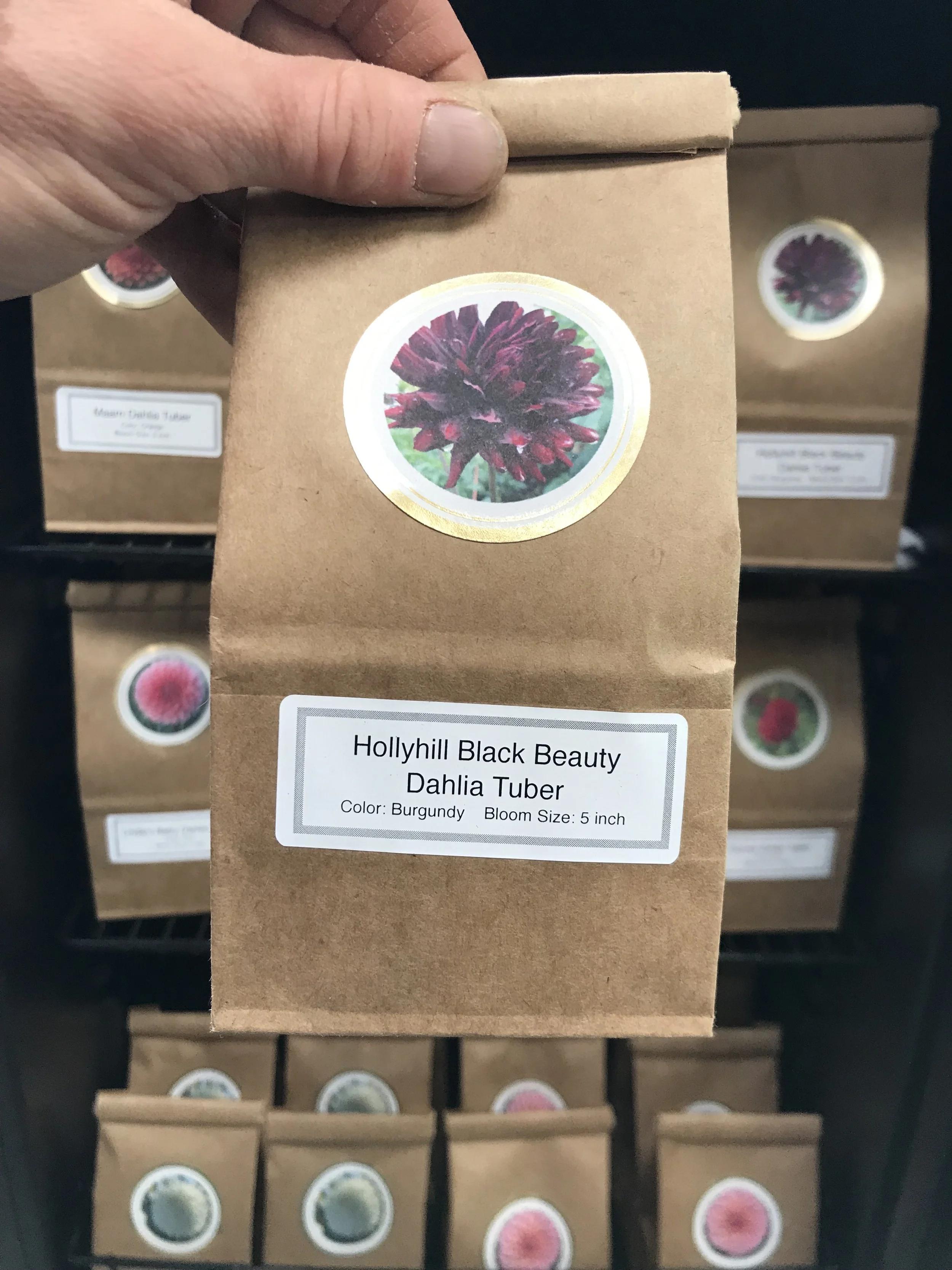 Farm Updates + Mother's Day Weekend — Mountain Roots Produce